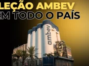 PROCESSOSELETIVOBRASIL4.png